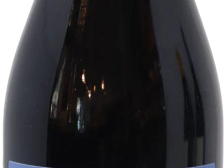 Denny Bini Lambrusco dell Emilia  FESTA  NV (crown cap) Cheap