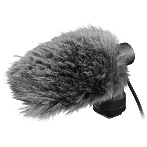 Canon DM-E100 Directional Microphone Online now