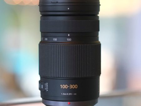 Panasonic G Vario 100-300mm f4-5.6 Power O.I.S. Online Sale